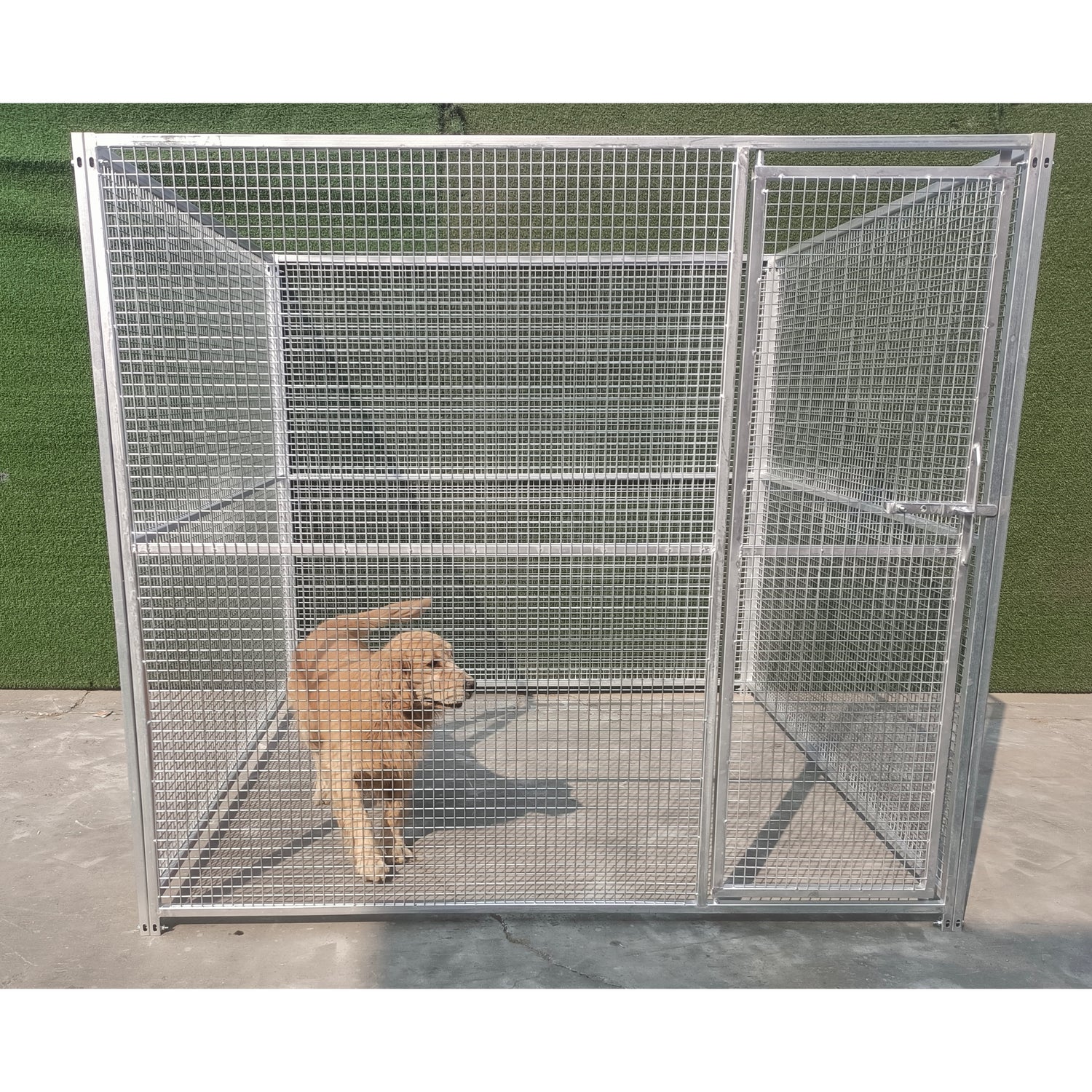 Hot Dipped Galvanised Dog Enclosure - 1.8m high x 2m long x 2m wide (25mm x 25mm)