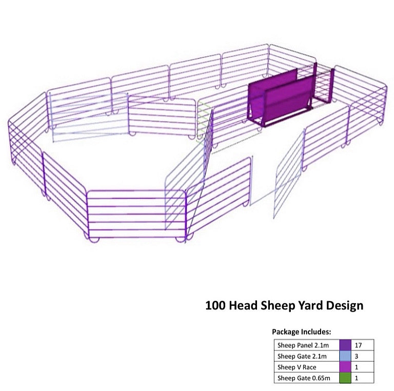 100 Head Sheep Yard Design