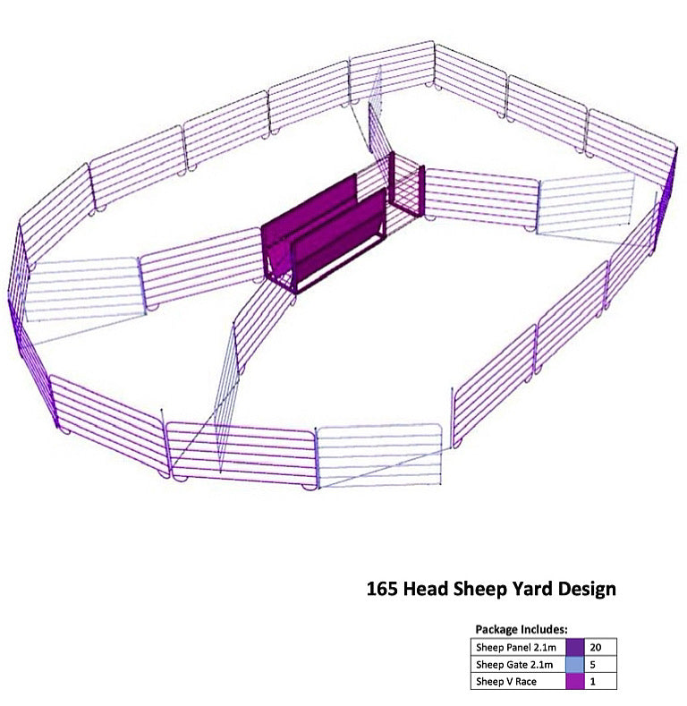 165 Head Sheep Yard Design