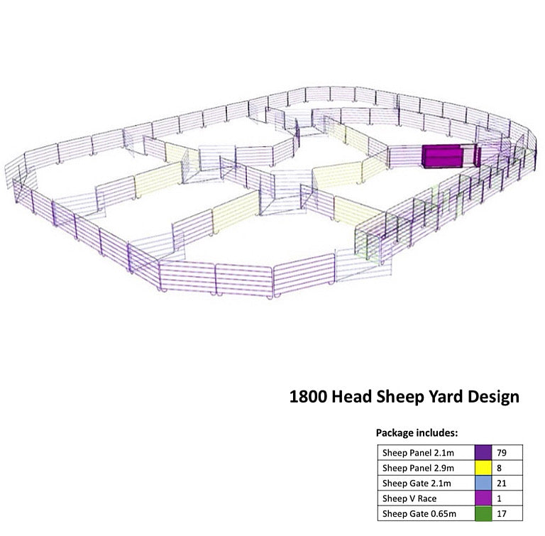 1800 Head Sheep Yard Design