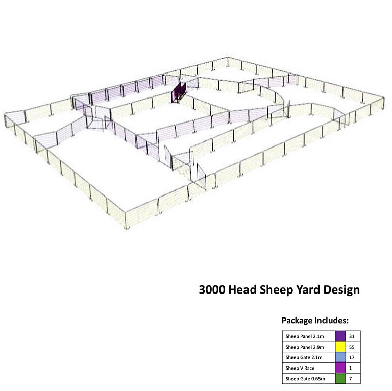 3000 Head Sheep Yard Design