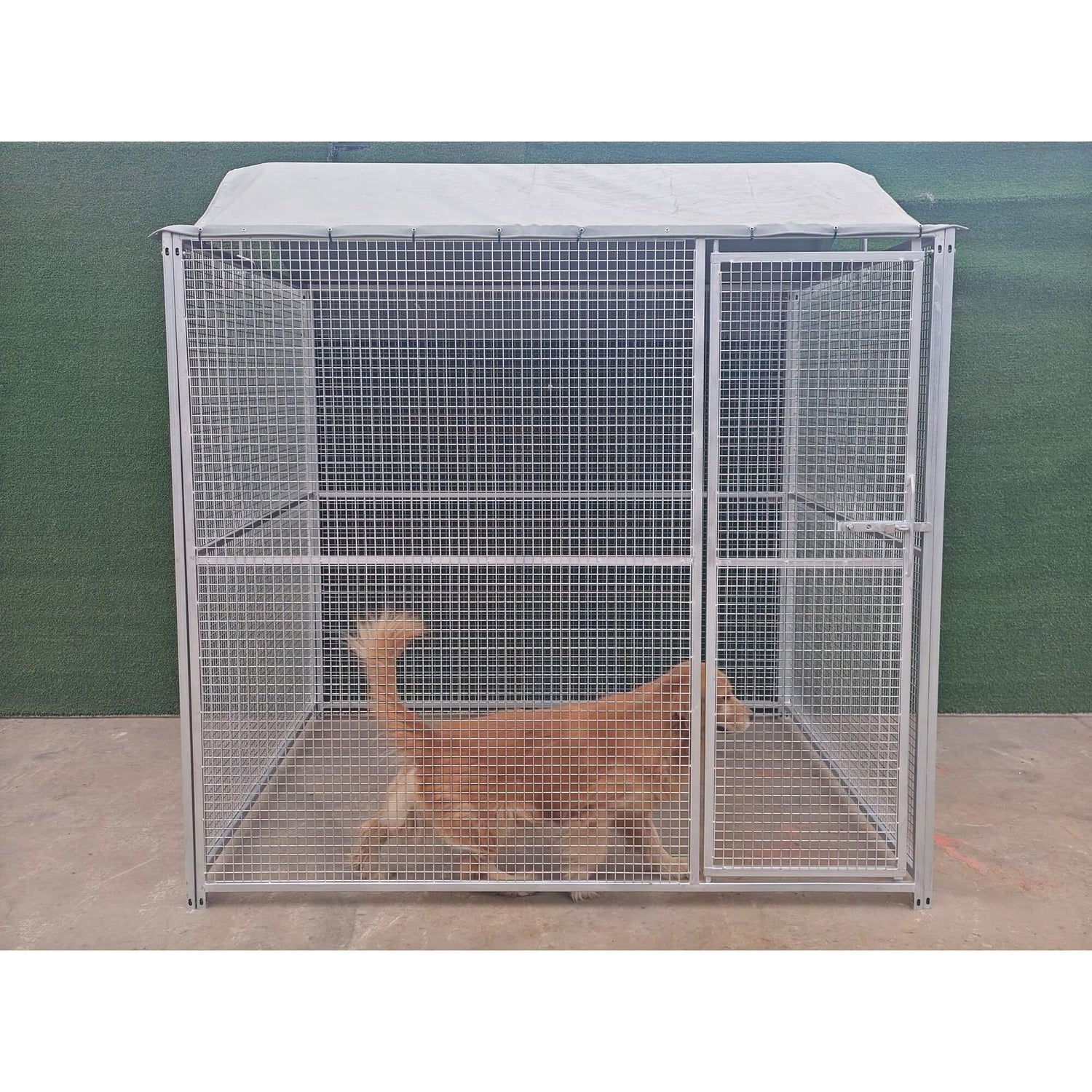 Hot Dipped Galvanised Dog Enclosure with Roof - 1.8m high x 2m long x 2m wide (25mm x 25mm)